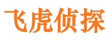 桥东市调查公司